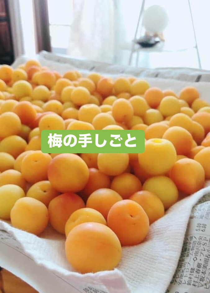 【6月21日・東京サロン】梅の手しごと